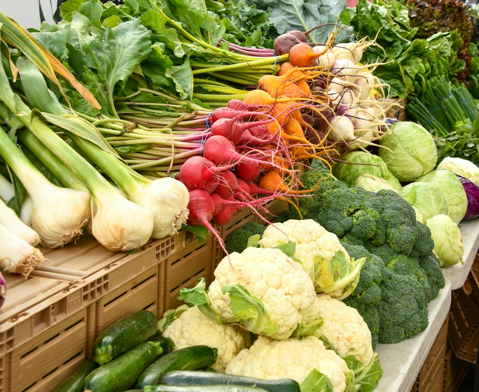 Séchage des légumes lavés